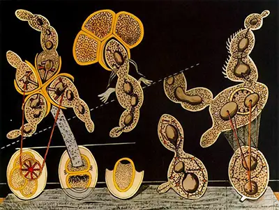The Gramineous Bicycle Garnished with Bells the Dappled Fire Damps and the Echinoderms Bending the Spine to Look for Caresses Max Ernst
